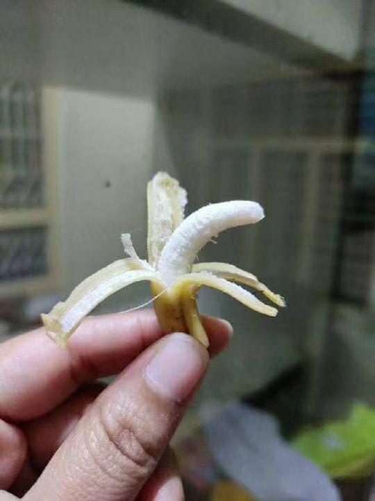 每日一笑:难怪现在的外卖员越来越多 每日一笑:难怪现在的外卖员越来越多
