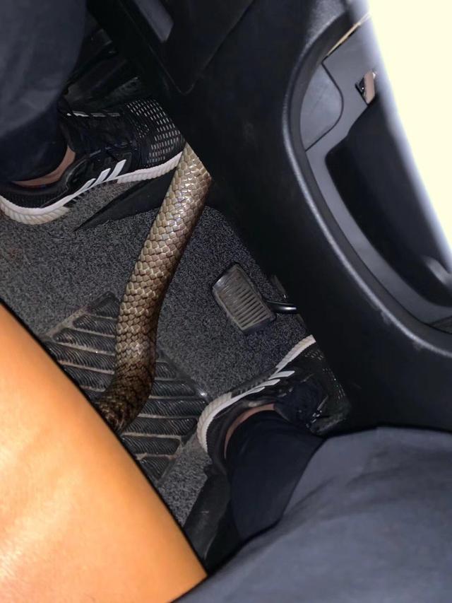 每日一笑:难怪现在的外卖员越来越多 每日一笑:难怪现在的外卖员越来越多