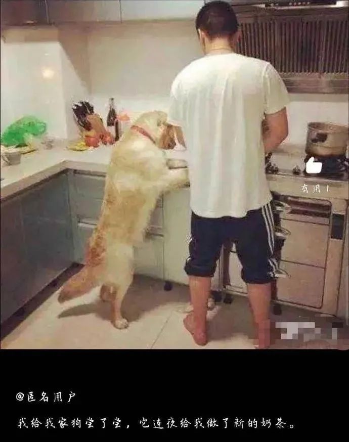 无意中发现室友是同性恋!哈哈哈这谁顶得住啊… 无意中发现室友是同性恋!哈哈哈这谁顶得住啊…
