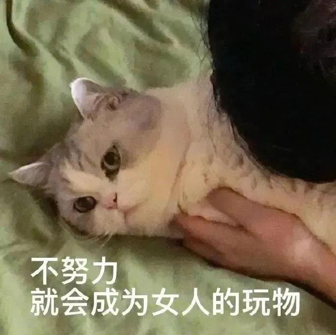 轻松一刻:几张图,就能勾勒出一个复杂的故事 轻松一刻:几张图,就能勾勒出一个复杂的故事