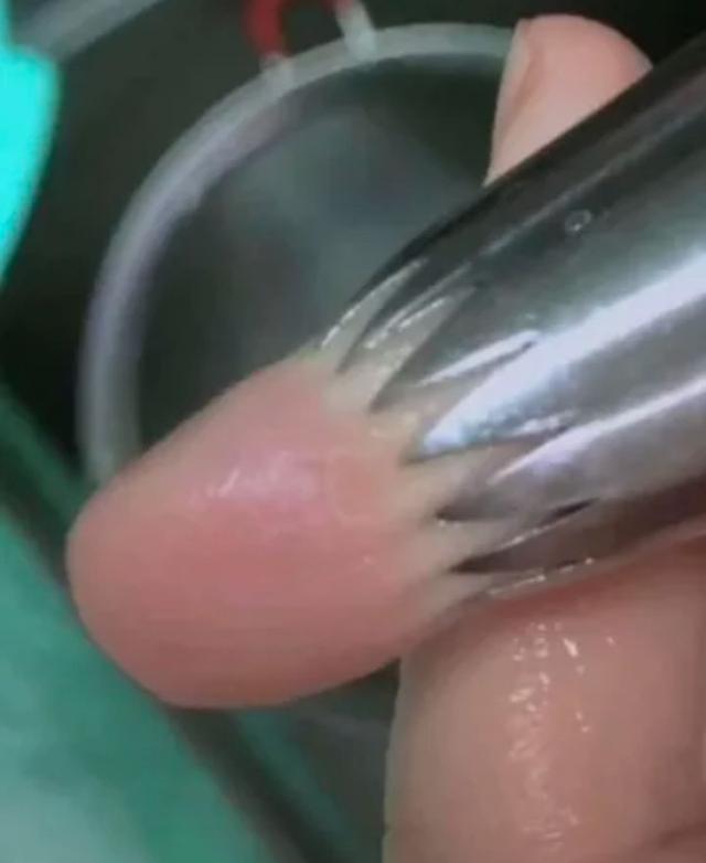 在高铁上碰到的妹子,我应不应该劝她把鞋子穿上? 在高铁上碰到的妹子,我应不应该劝她把鞋子穿上?