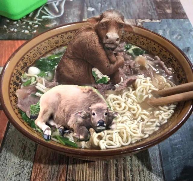 在高铁上碰到的妹子,我应不应该劝她把鞋子穿上? 在高铁上碰到的妹子,我应不应该劝她把鞋子穿上?