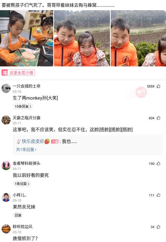 要被熊孩子们气死了,哥哥带妹妹去掏马蜂窝,结果两人变成这样了 要被熊孩子们气死了,哥哥带妹妹去掏马蜂窝,结果两人变成这样了