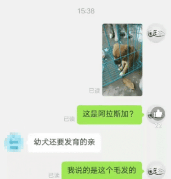 “这么好的女孩,你不一定敢娶吧...?”网友:有点担心,哈哈哈哈哈 “这么好的女孩,你不一定敢娶吧...?”网友:有点担心,哈哈哈哈哈