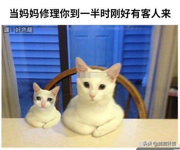 有一个不会做饭的妈妈是一种什么体验?差点把我笑过去!哈哈哈 有一个不会做饭的妈妈是一种什么体验?差点把我笑过去!哈哈哈