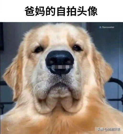 有一个不会做饭的妈妈是一种什么体验?差点把我笑过去!哈哈哈 有一个不会做饭的妈妈是一种什么体验?差点把我笑过去!哈哈哈