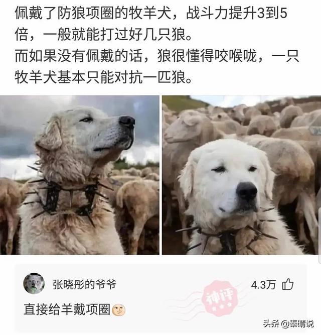 爆笑神回复:老公频繁出轨,我也不丑,家里还有两个女儿,怎么办 爆笑神回复:老公频繁出轨,我也不丑,家里还有两个女儿,怎么办