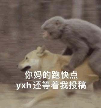 有哪些看一遍笑一遍的搞笑段子和图片 有哪些看一遍笑一遍的搞笑段子和图片