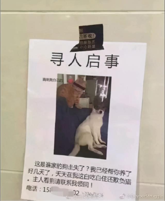 学生吃完西瓜上厕所后忘了冲水,暑假回来后,厕所变成西瓜地了 学生吃完西瓜上厕所后忘了冲水,暑假回来后,厕所变成西瓜地了