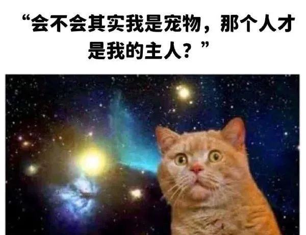 夫妻做动作声音太大,扰民了! 夫妻做动作声音太大,扰民了!