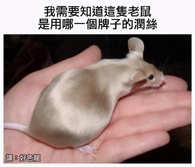 每日沙雕:我前脚刚走,我后脚就跟上了 每日沙雕:我前脚刚走,我后脚就跟上了