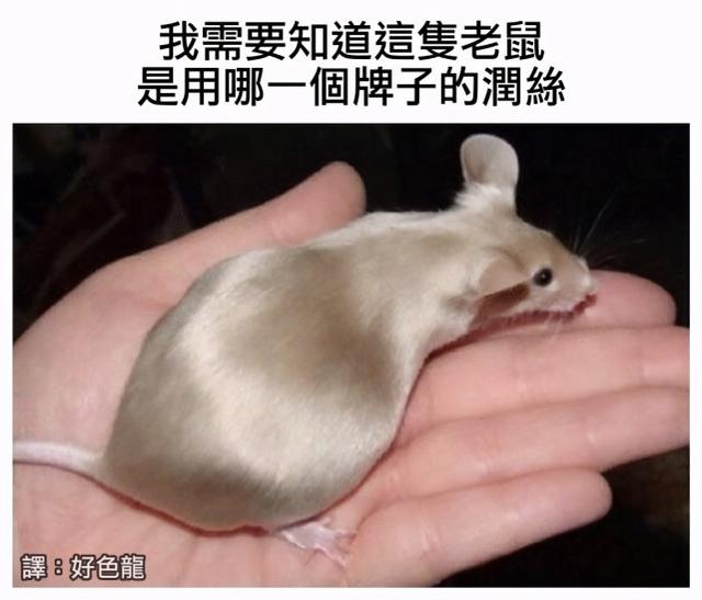 每日沙雕:我前脚刚走,我后脚就跟上了 每日沙雕:我前脚刚走,我后脚就跟上了
