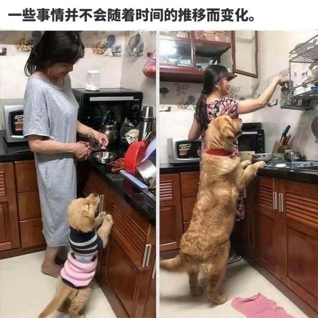 每日沙雕:我前脚刚走,我后脚就跟上了 每日沙雕:我前脚刚走,我后脚就跟上了
