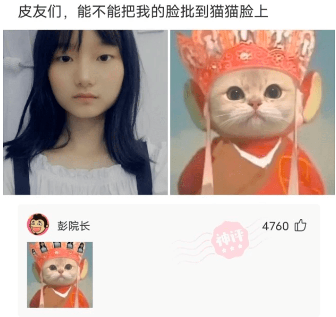 神回复:假如用你生命的一个月,换下面其中一辆,你选哪辆 神回复:假如用你生命的一个月,换下面其中一辆,你选哪辆