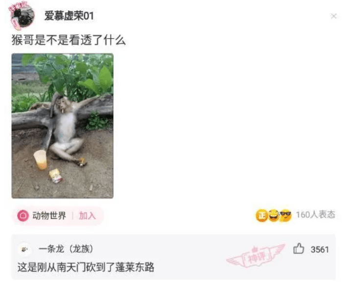 神回复:假如用你生命的一个月,换下面其中一辆,你选哪辆 神回复:假如用你生命的一个月,换下面其中一辆,你选哪辆