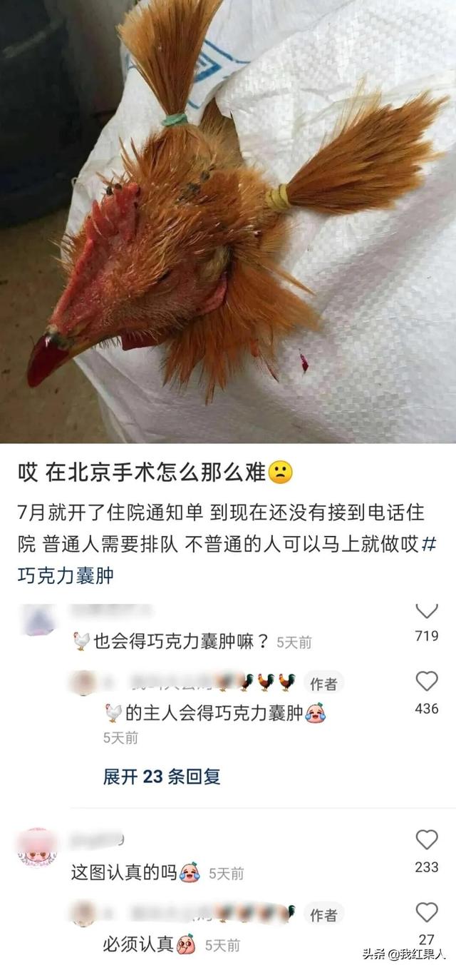 表哥当年为了娶她，哭着卖掉73枚比特币！现在睡觉都会笑醒了