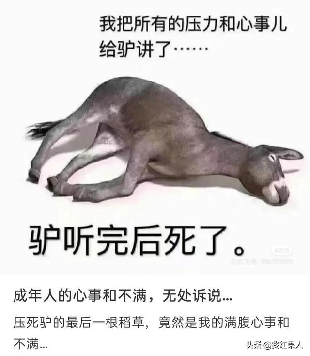 表哥当年为了娶她，哭着卖掉73枚比特币！现在睡觉都会笑醒了