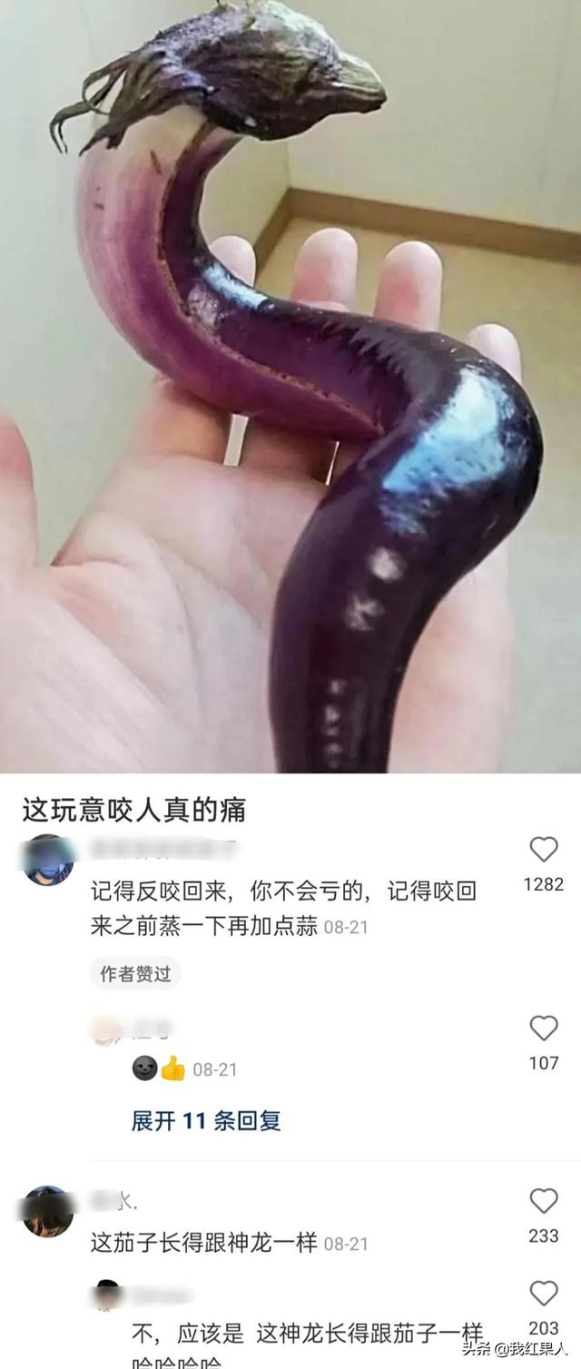 表哥当年为了娶她,哭着卖掉73枚比特币!现在睡觉都会笑醒了 表哥当年为了娶她,哭着卖掉73枚比特币!现在睡觉都会笑醒了