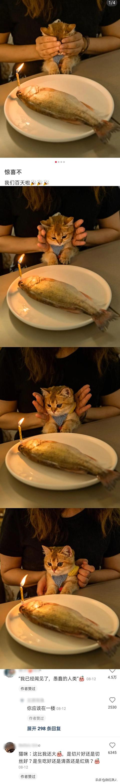 表哥当年为了娶她,哭着卖掉73枚比特币!现在睡觉都会笑醒了 表哥当年为了娶她,哭着卖掉73枚比特币!现在睡觉都会笑醒了
