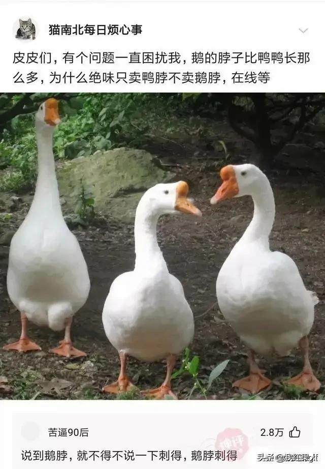 表哥当年为了娶她,哭着卖掉73枚比特币!现在睡觉都会笑醒了 表哥当年为了娶她,哭着卖掉73枚比特币!现在睡觉都会笑醒了