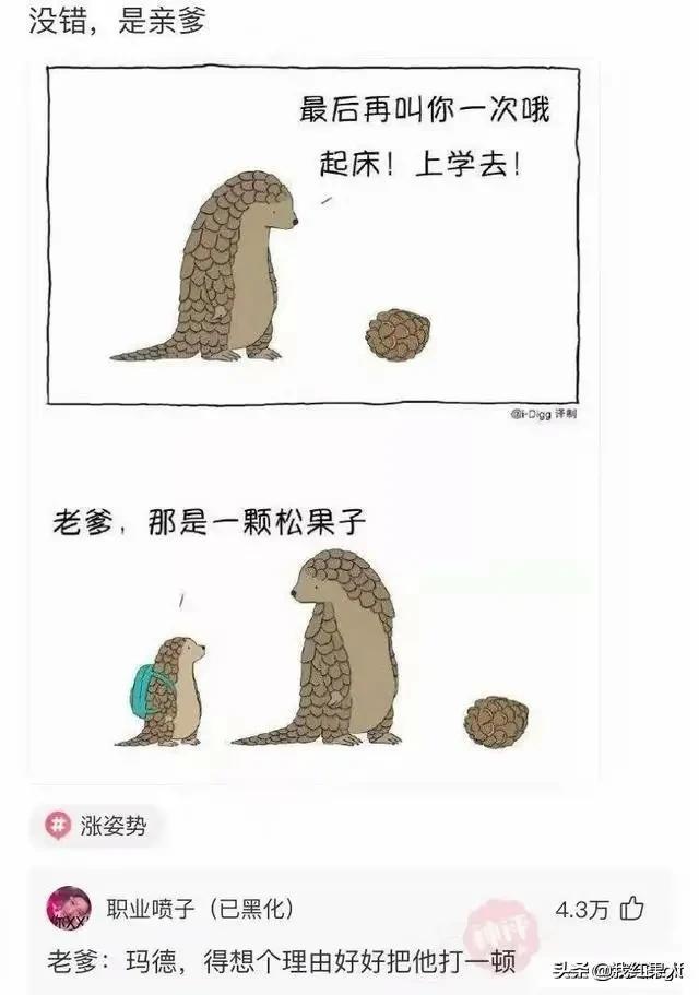 表哥当年为了娶她,哭着卖掉73枚比特币!现在睡觉都会笑醒了 表哥当年为了娶她,哭着卖掉73枚比特币!现在睡觉都会笑醒了