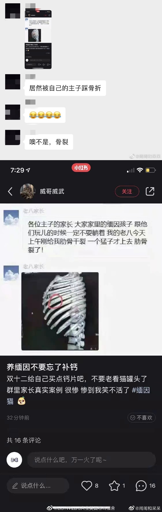 红丝带情趣内衣,这跟不穿有什么区别? 红丝带情趣内衣,这跟不穿有什么区别?