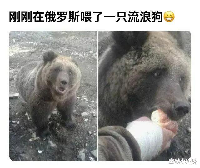 “肚子越来越大,相信会找到接盘侠的!”网友:不行拉了吧!哈哈哈 “肚子越来越大,相信会找到接盘侠的!”网友:不行拉了吧!哈哈哈