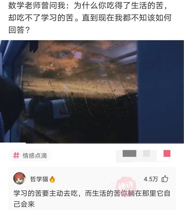 爆笑神评论：有人拍到 伍佰在给正在熟睡的王祖贤扇扇子 震惊娱乐圈