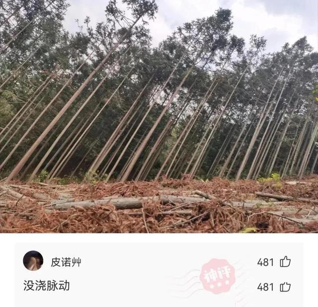 「盐选神回复」这哥们口味挺重啊 「盐选神回复」这哥们口味挺重啊