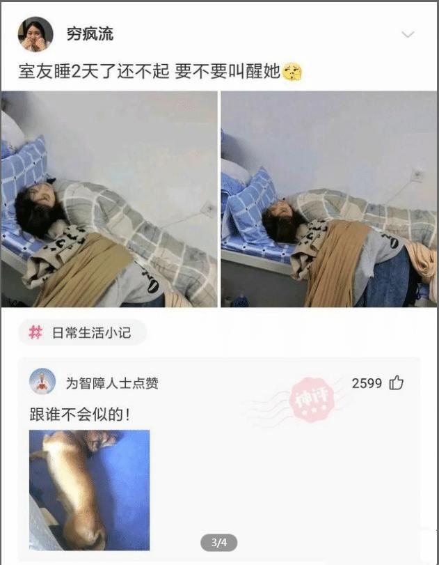 「盐选神回复」这哥们口味挺重啊 「盐选神回复」这哥们口味挺重啊