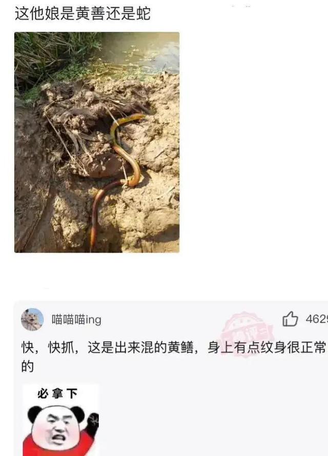 「盐选神回复」这哥们口味挺重啊 「盐选神回复」这哥们口味挺重啊
