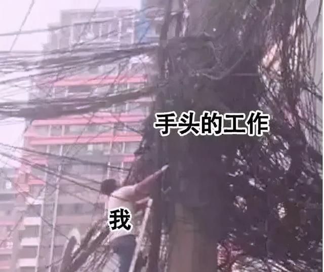 网友的某宝评论 卖家估计得被气吐血哈哈哈哈 网友的某宝评论 卖家估计得被气吐血哈哈哈哈
