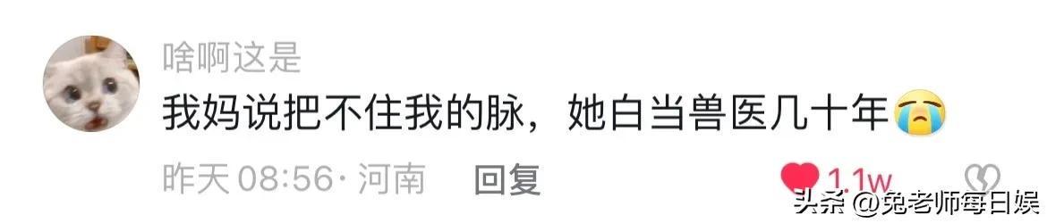 咱妈的嘴怎么这么会说,隔着屏幕都觉得被骂了 咱妈的嘴怎么这么会说,隔着屏幕都觉得被骂了