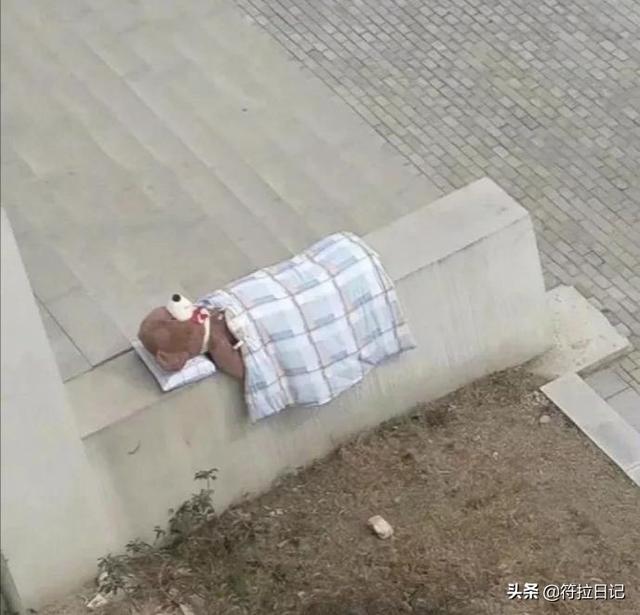 笑死我了,现在的骗子都好不专业呀,连图片水印都不会去除 笑死我了,现在的骗子都好不专业呀,连图片水印都不会去除