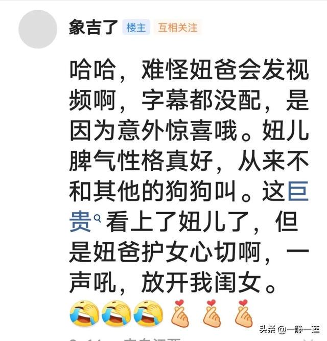 我和黑妞的聊天记录(44) 我和黑妞的聊天记录(44)