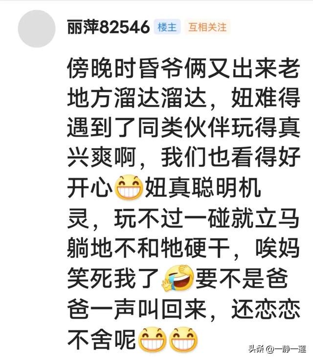 我和黑妞的聊天记录(44) 我和黑妞的聊天记录(44)