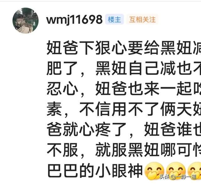 我和黑妞的聊天记录(44) 我和黑妞的聊天记录(44)