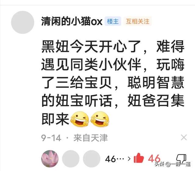 我和黑妞的聊天记录(44) 我和黑妞的聊天记录(44)