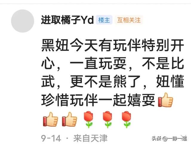 我和黑妞的聊天记录(44) 我和黑妞的聊天记录(44)