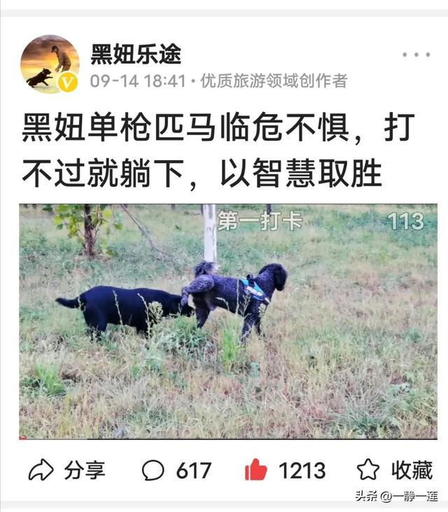 我和黑妞的聊天记录(44) 我和黑妞的聊天记录(44)