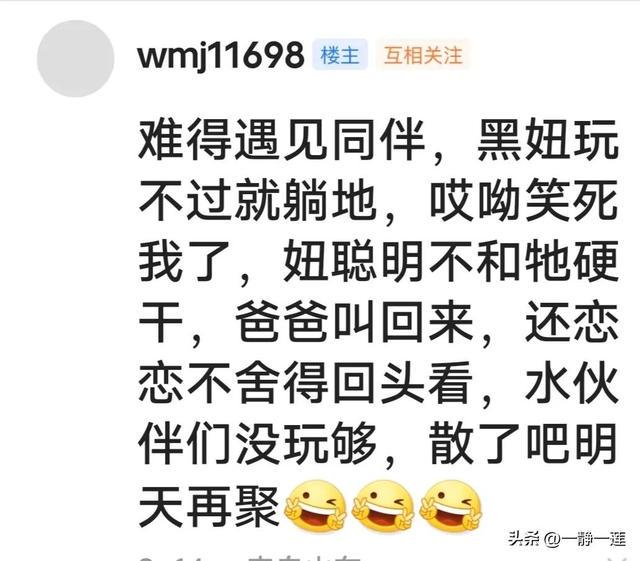 我和黑妞的聊天记录(44) 我和黑妞的聊天记录(44)