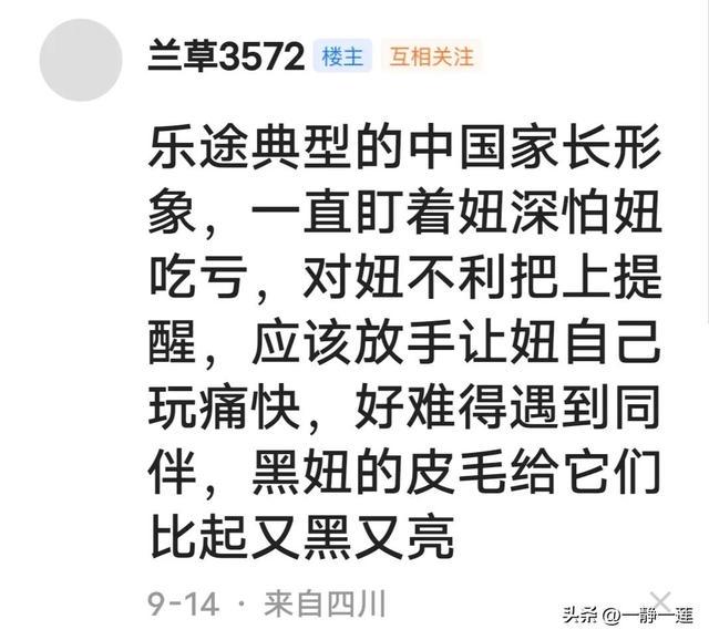 我和黑妞的聊天记录(44) 我和黑妞的聊天记录(44)