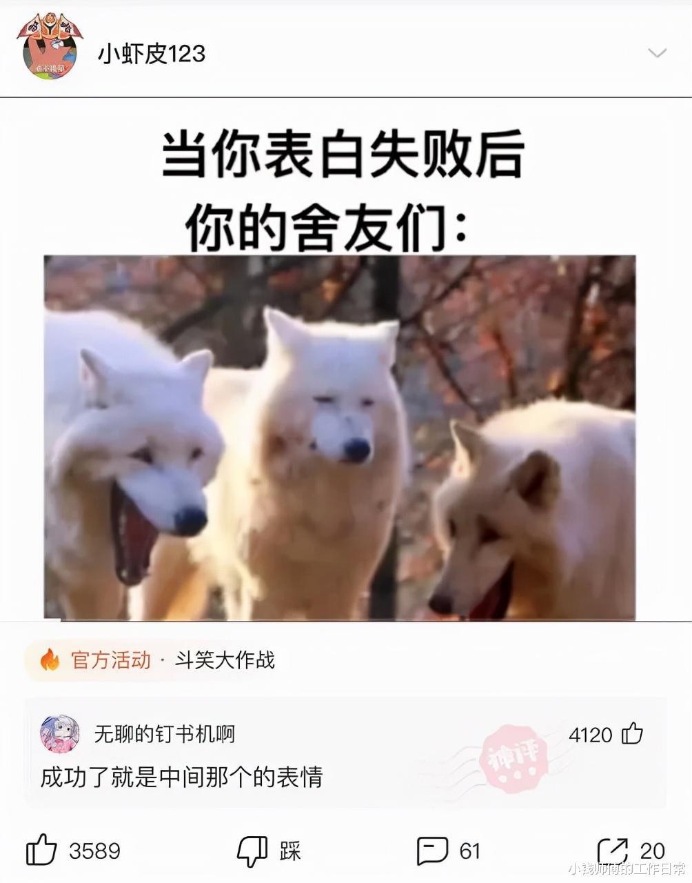 “谁能解释下这是啥虫子,我都不敢坐了!”神评回复亮了 “谁能解释下这是啥虫子,我都不敢坐了!”神评回复亮了