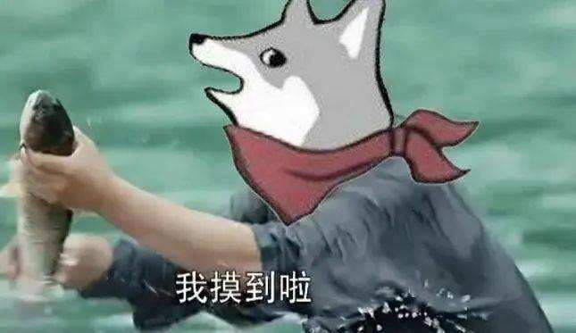轻松一刻:结婚仨月夫妻不同房,老公:你孩子哪来的？