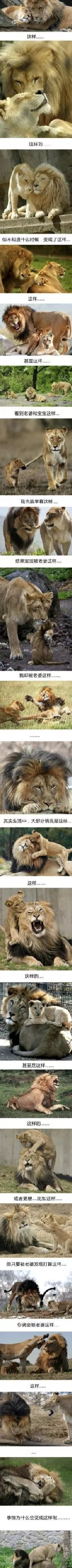 “三年前买了条哈士奇,正是看中它头顶与其他狗有不同的气势!”哈哈哈 “三年前买了条哈士奇,正是看中它头顶与其他狗有不同的气势!”哈哈哈