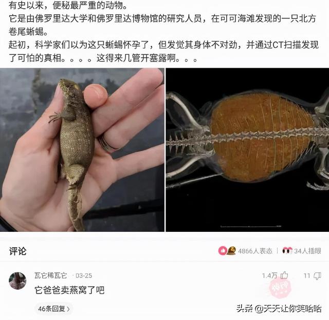 神回复:如果拉的屎太臭,把人熏死了,我会判刑么?神评笑疯我了 神回复:如果拉的屎太臭,把人熏死了,我会判刑么?神评笑疯我了