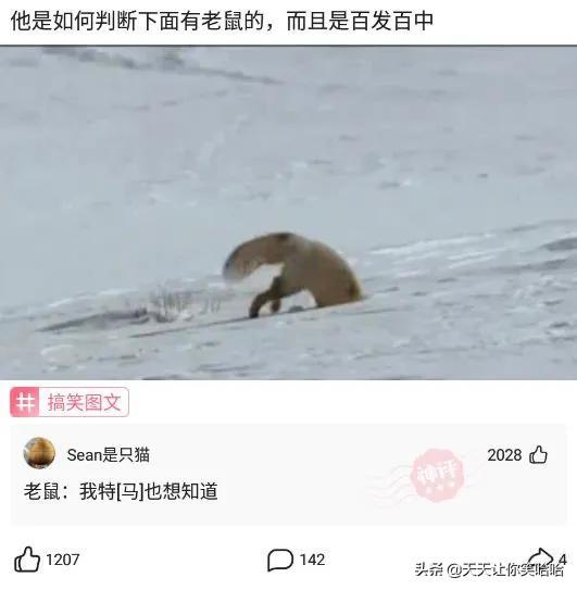 神回复:如果拉的屎太臭,把人熏死了,我会判刑么?神评笑疯我了 神回复:如果拉的屎太臭,把人熏死了,我会判刑么?神评笑疯我了