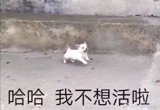 “刚买的新款长靴,看起来像是裤子脱了一半...” “刚买的新款长靴,看起来像是裤子脱了一半...”