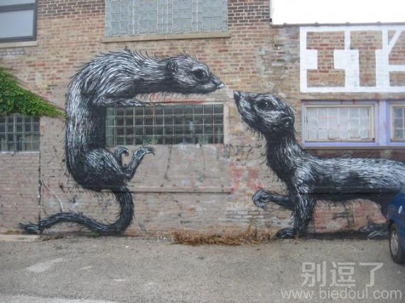 黄鼠狼画报图片。。