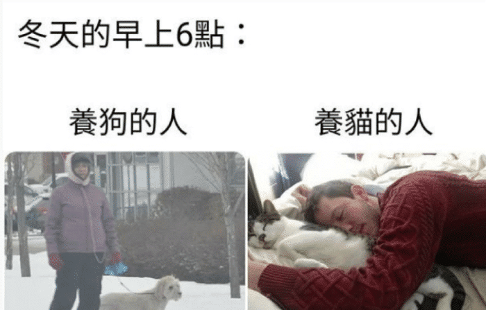 “蛇:大家别慌,是我报的警!”哈哈哈哈哈大哥可真是个狠人啊~ “蛇:大家别慌,是我报的警!”哈哈哈哈哈大哥可真是个狠人啊~